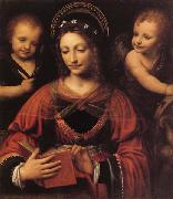 LUINI, Bernardino St.Catherine oil on canvas